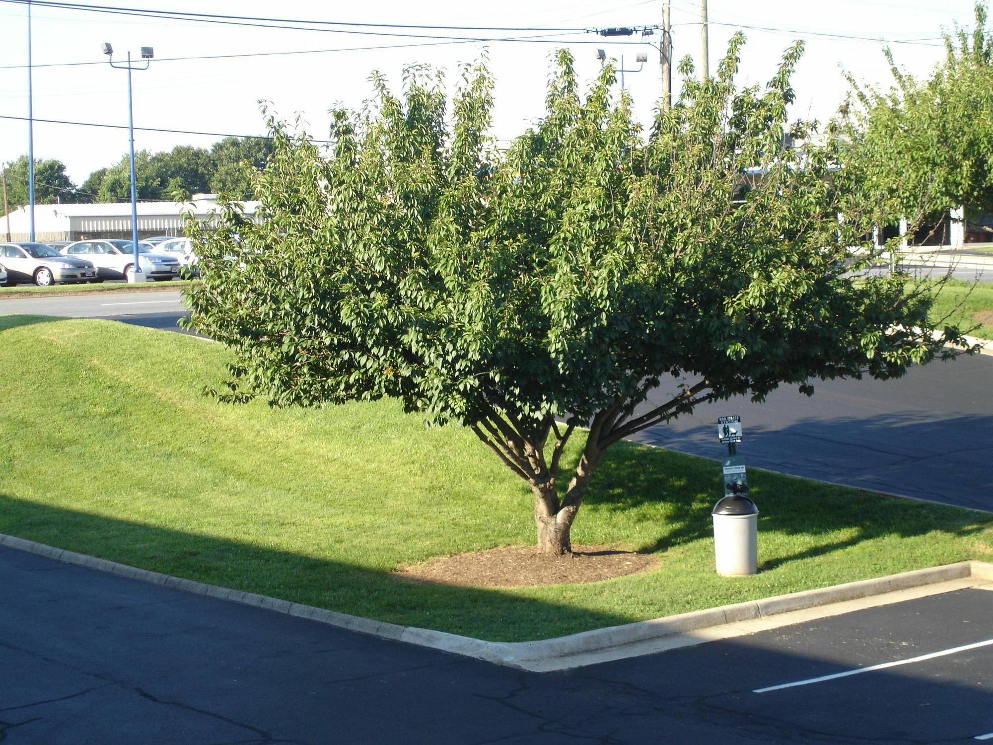 Baymont By Wyndham Lynchburg Motel Dış mekan fotoğraf